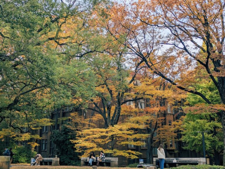 42-53成熟的通道